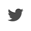 Twitter Icon - twitter